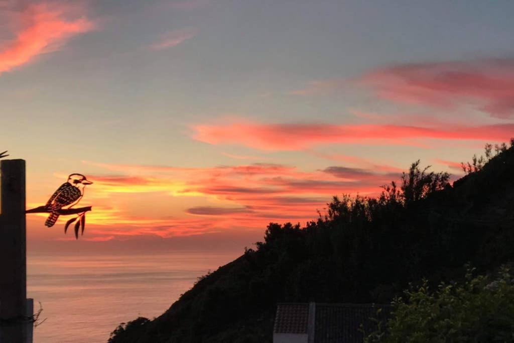 Sunset Nest Villa Ponta Delgada  Bagian luar foto